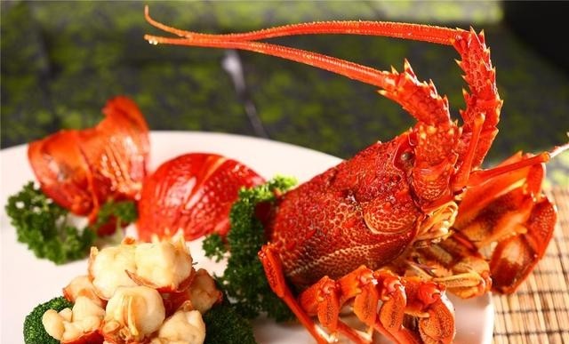 波士顿龙虾和澳洲龙虾哪个贵些，澳洲龙虾比波士顿龙虾贵的原因