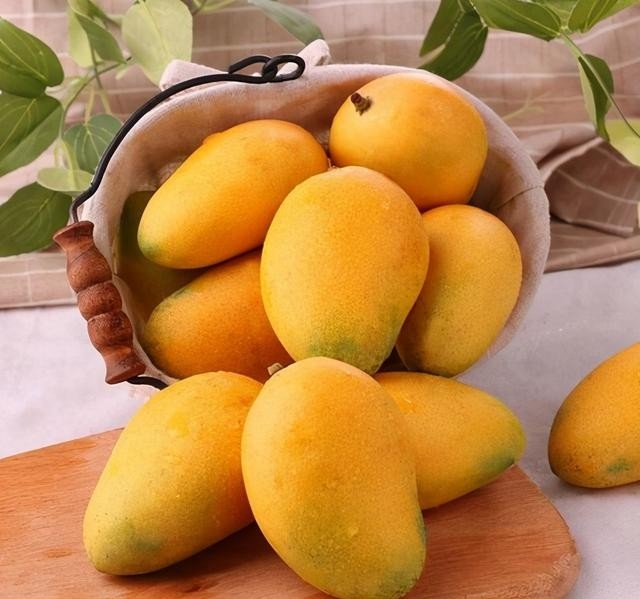 什么芒果品种最好吃又甜，分享4种常见的芒果