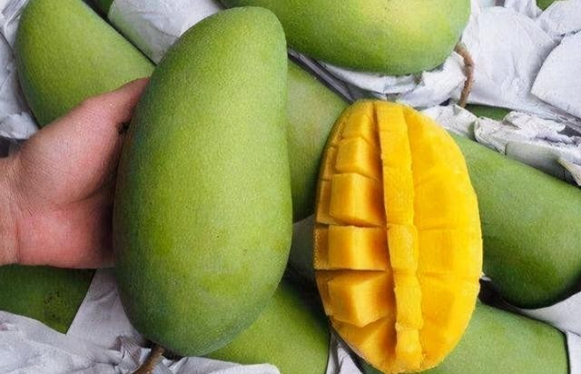 什么芒果品种最好吃又甜，分享4种常见的芒果
