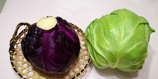 紫甘蓝是紫包菜吗，紫甘蓝和绿甘蓝的区别介绍