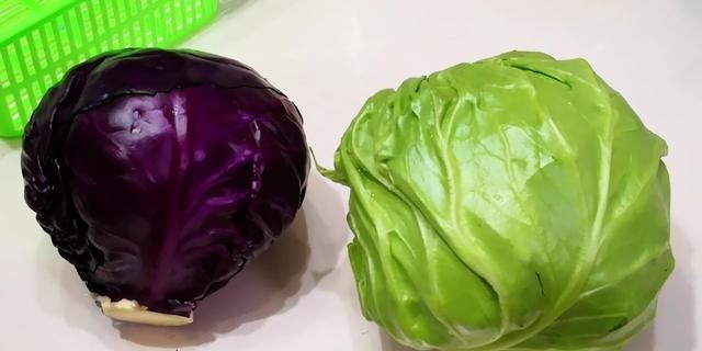 紫甘蓝是紫包菜吗，紫甘蓝和绿甘蓝的区别介绍