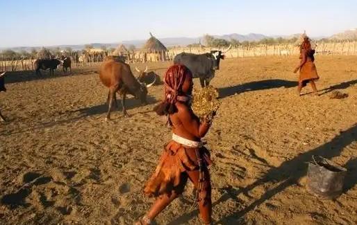 非洲部落女性真实生活,她们却不得不接受祖鲁族一夫多妻的制度