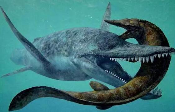 已灭绝的十大鲨鱼,巨齿鲨体长为14米重可达40吨