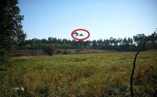 外星人真实存在,波兰男子拍到罕见UFO清晰照