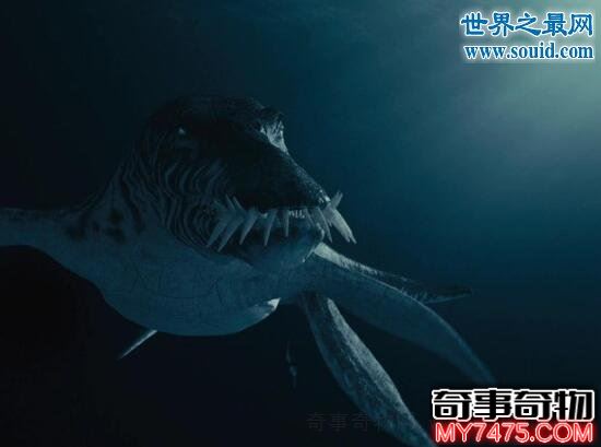 海底巨兽滑齿龙,化石牙齿割伤人手