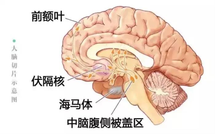 男生有了女朋友不得不说的秘密,男的为啥想睡女朋友