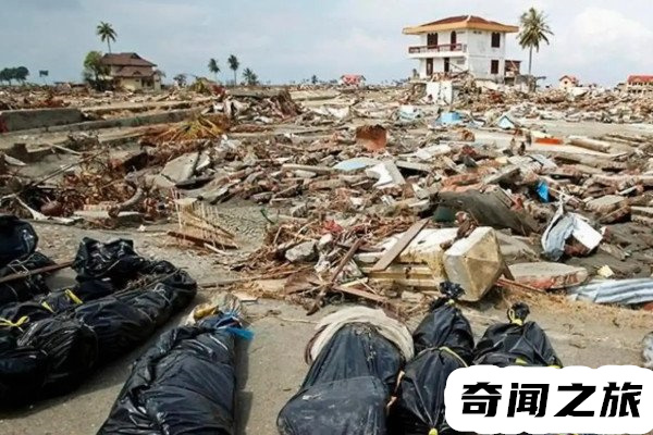 印尼海啸死亡多少人,印尼海啸死亡造成了22.6万人死亡