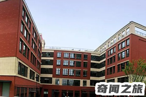 为什么不建议孩子去私立学校四点原因,背后暗藏的危害大