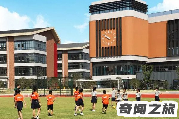 为什么不建议孩子去私立学校四点原因,背后暗藏的危害大