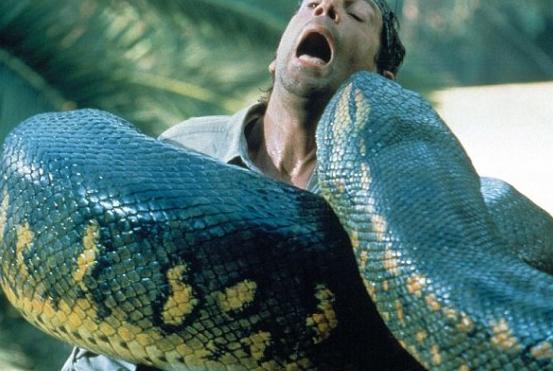 广西修高速挖出来蛇,大蛇的身上能够高达16.7米