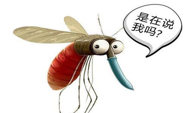 恐怖虫一种罕见的蚊子因为外形丑陋而得名