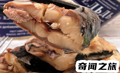鲱鱼罐头到底有多臭,鲱鱼罐头对身体的危害