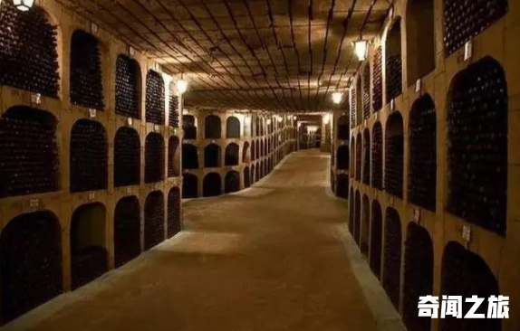 世界上最大酒窖有多大,世界上最震撼的酒窖