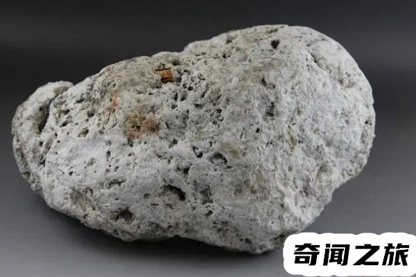 龙涎香来自于哪种海洋生物,龙涎香的特征