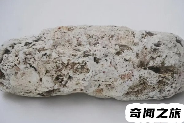 龙涎香来自于哪种海洋生物,龙涎香的特征