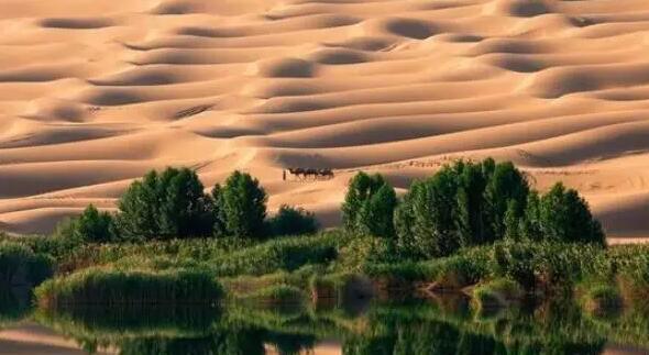 最著名的十个沙漠绿洲,世界十大沙漠绿洲