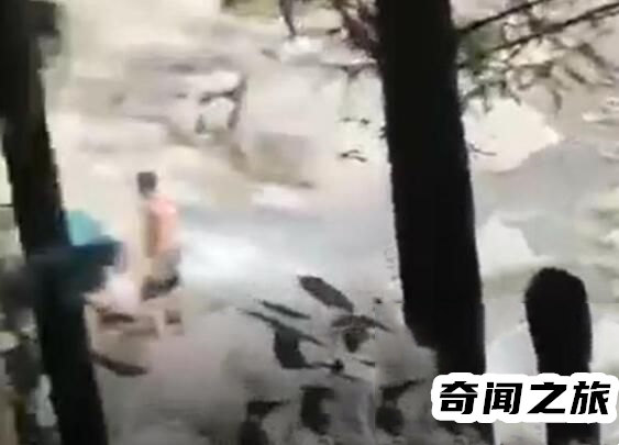 四川彭州龙槽沟突发山洪,男子在洪水中紧抱孩子