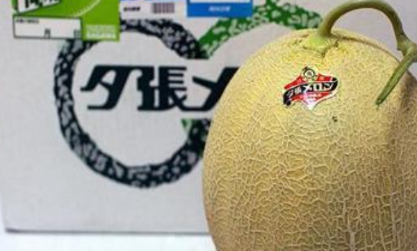 世界上最昂贵的水果,黑皮西瓜拍出人民币约3.82万元的价格