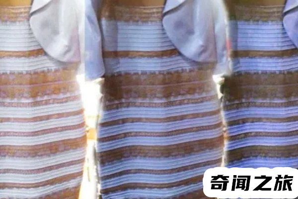 白金色为啥会看成蓝黑色,白金色和蓝黑色为什么分不清