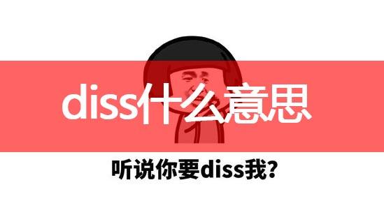 diss是什么意思