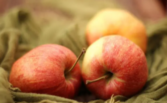 湿气最怕哪三种水果 必懂：苹果被称为全能健康水果