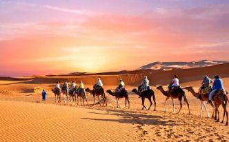 世界上最大的沙漠 重要：撒哈拉沙漠成于250万年前其面积达到了906万平方公里