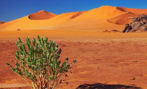 世界上最大的沙漠,撒哈拉沙漠成于250万年前其面积达到了906万平方公里
